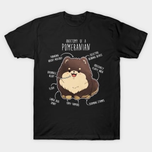 Chocolate and Tan Pomeranian Dog Anatomy T-Shirt